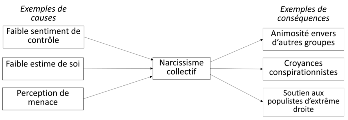Ces exemples de conséquences sont basés sur des études corrélationnelles. En effet, le narcissisme collectif est difficilement manipulable dans le cadre d’études expérimentales, nécessaires afin d’établir des relations de causalités. La notion de conséquence n’est donc ici que théorique.