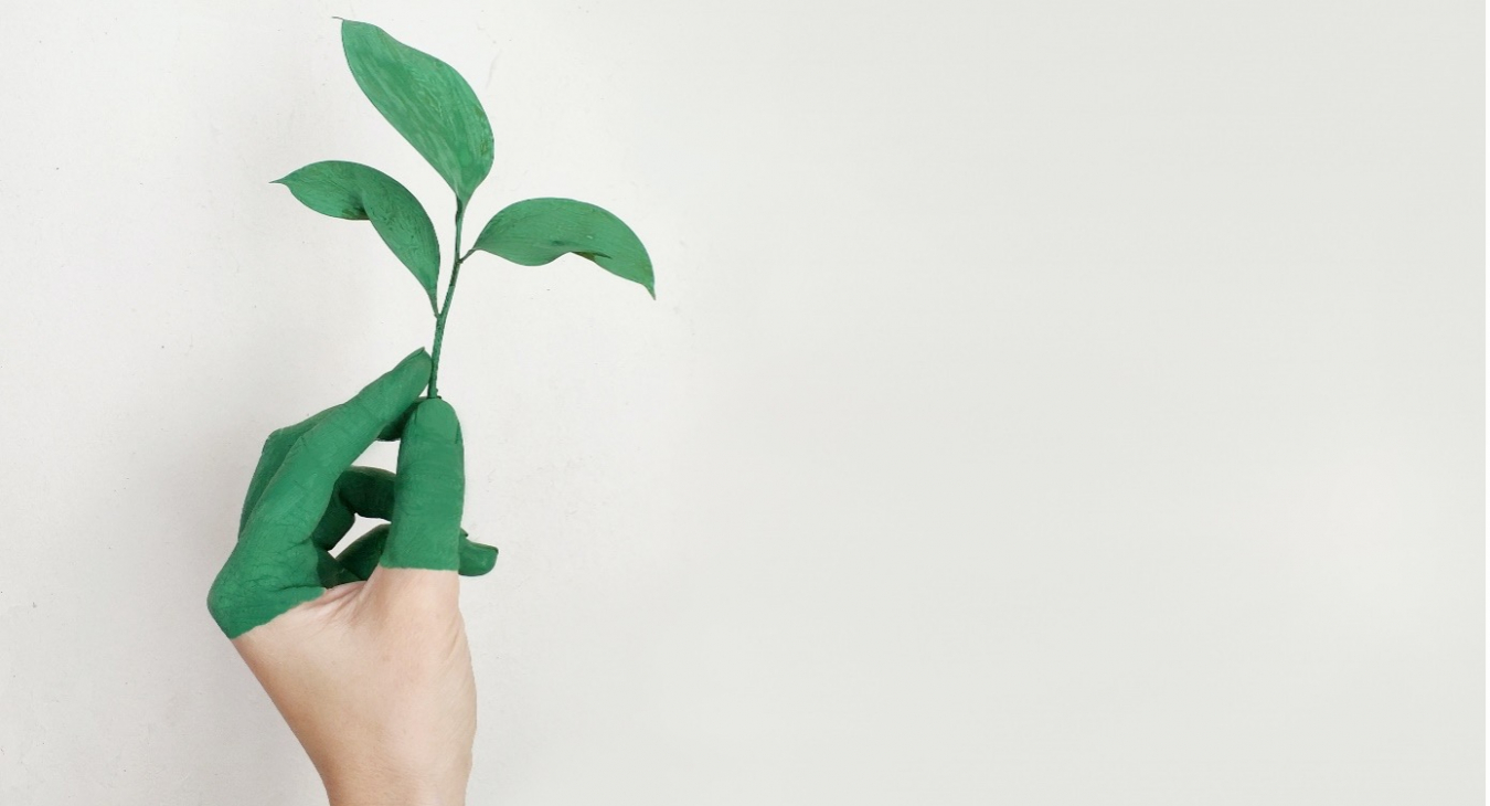 Nos prises de position environnementales : une question d’inégalités sociales ?